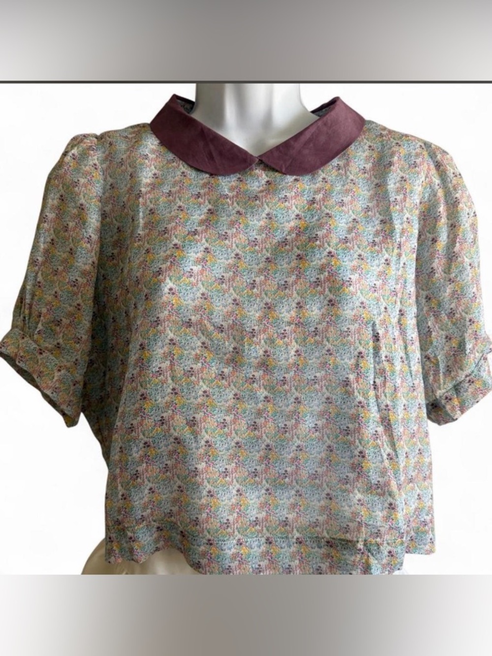 Floral Print Short Sleeve Top with Contrast Peter Pan Collar - Mauve Collar